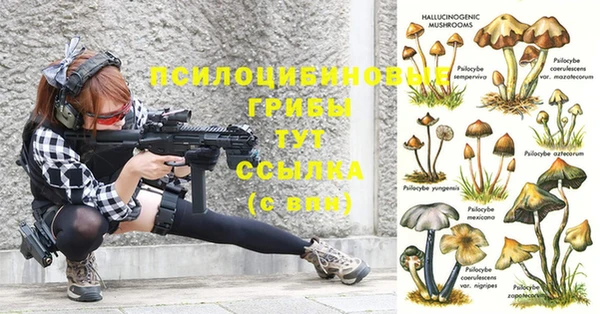 тгк Остров